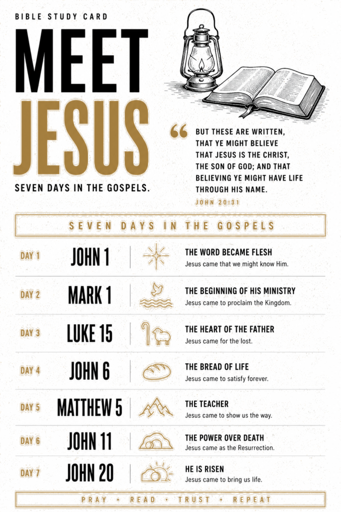 Meet Jesus study card