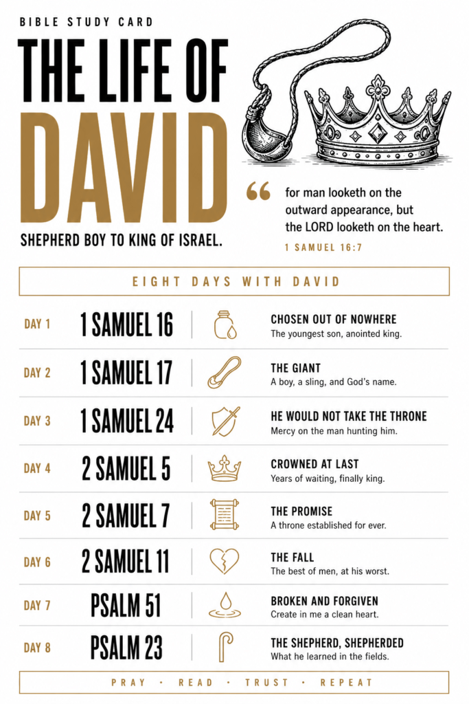 The Life of David study card
