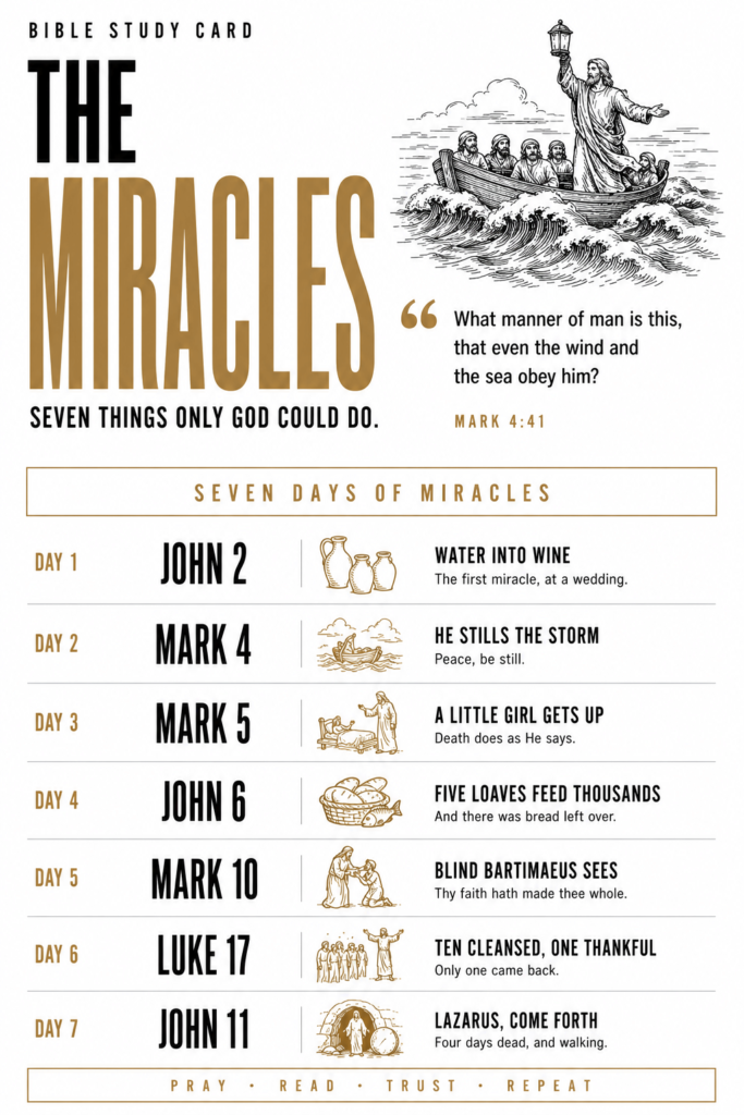 The Miracles study card
