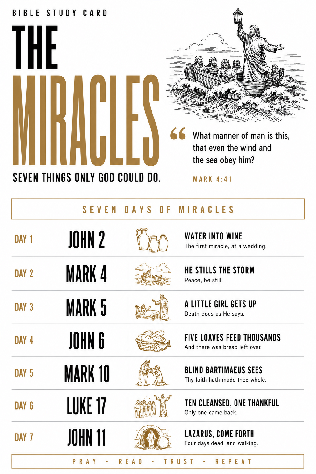 Study card - The Miracles