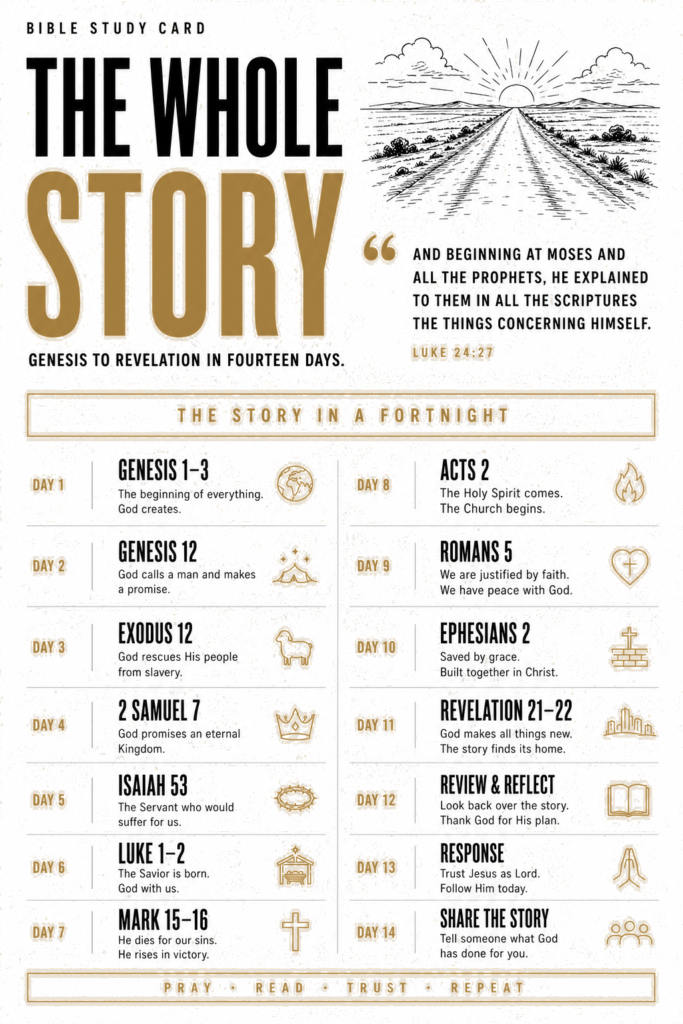 The Whole Story study card