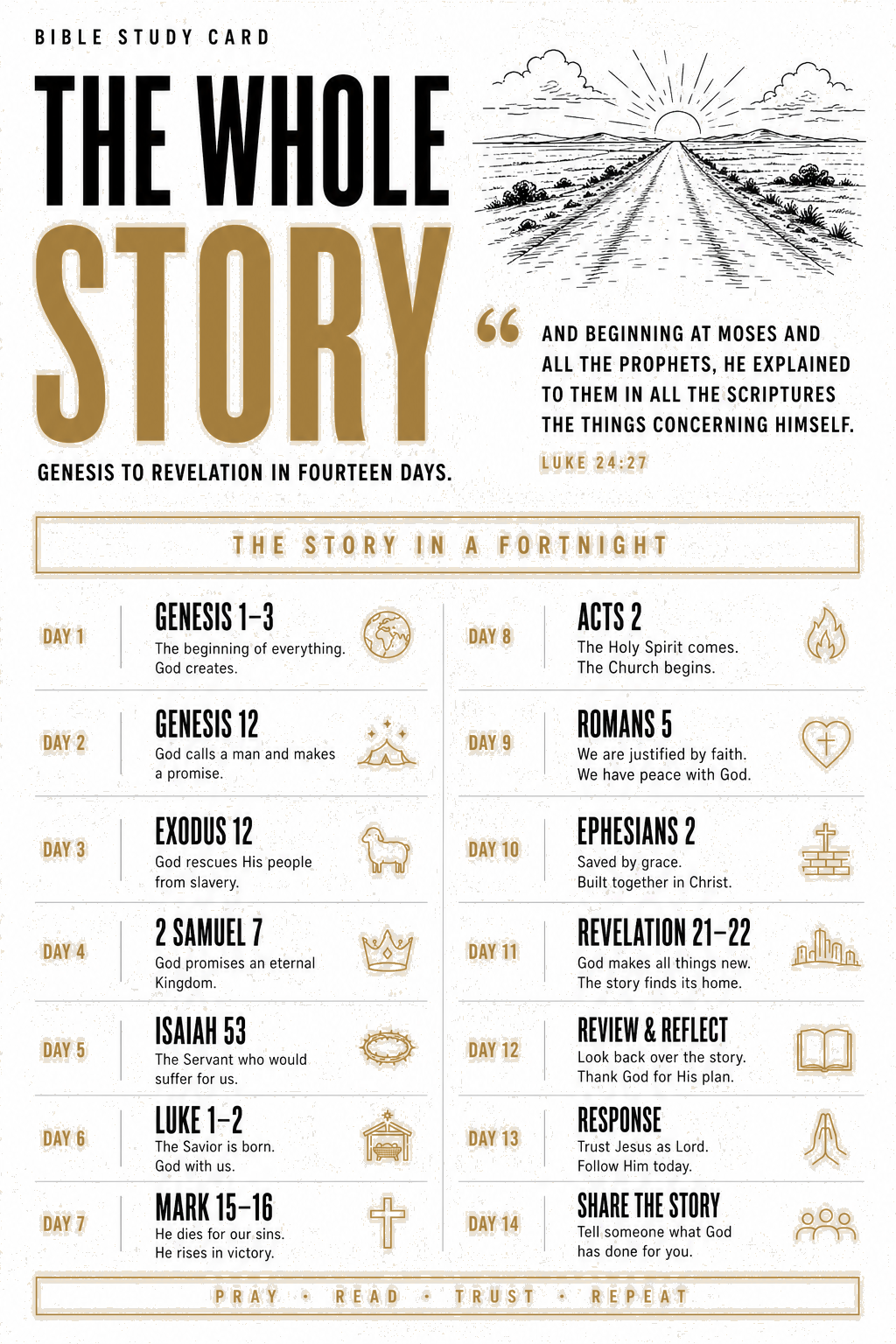 Study card - The Whole Story