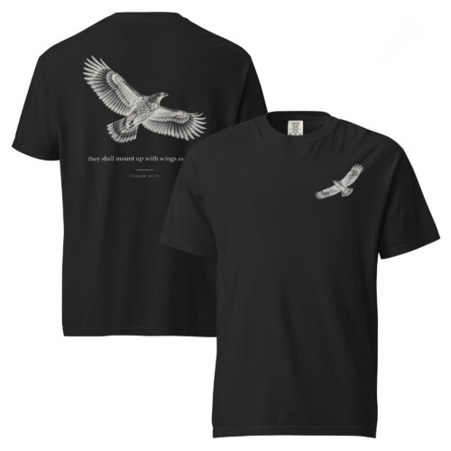 MOUNT UP WITH WINGS