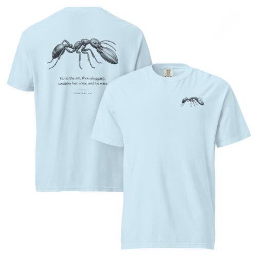 THE ANT in chambray