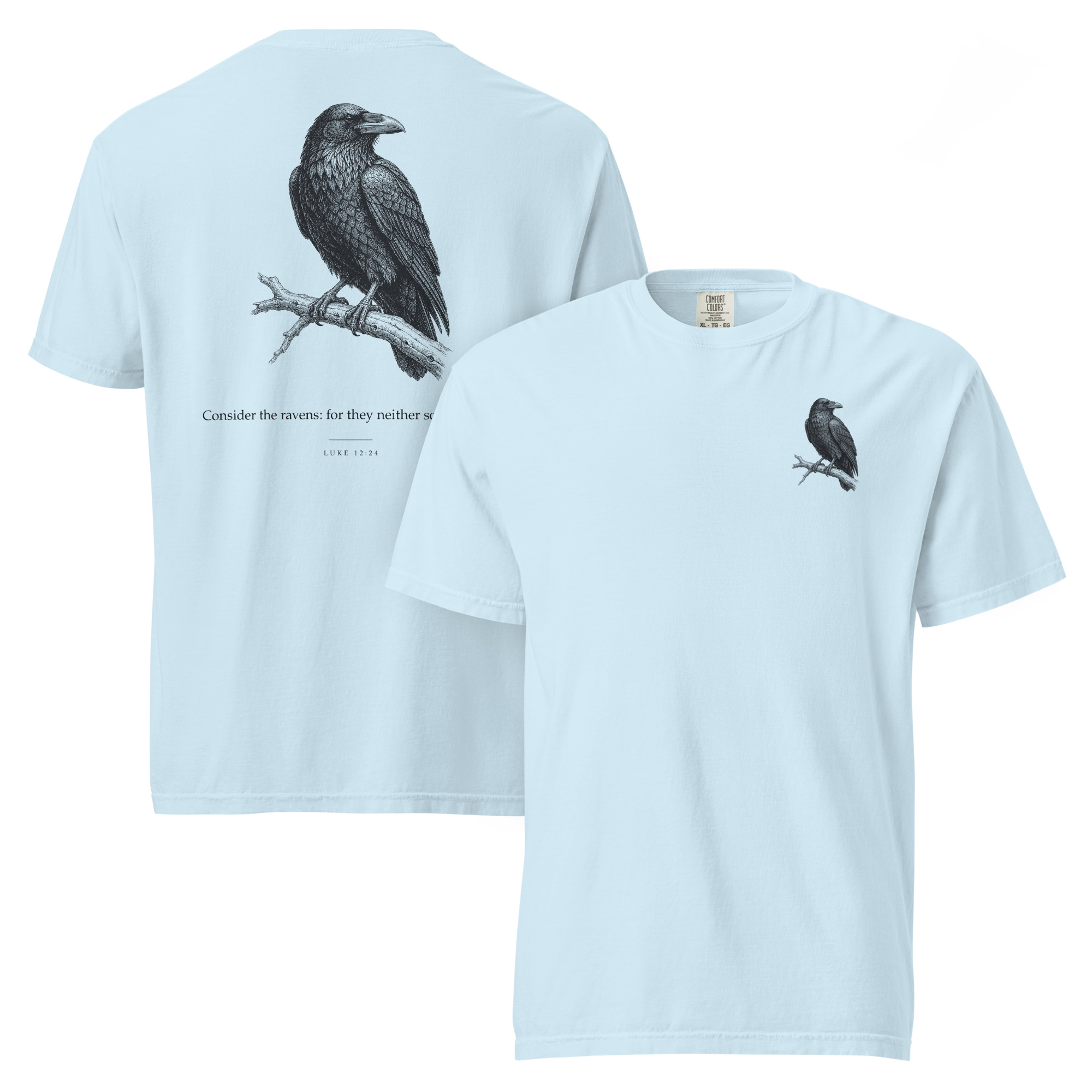CONSIDER THE RAVENS - Image 5