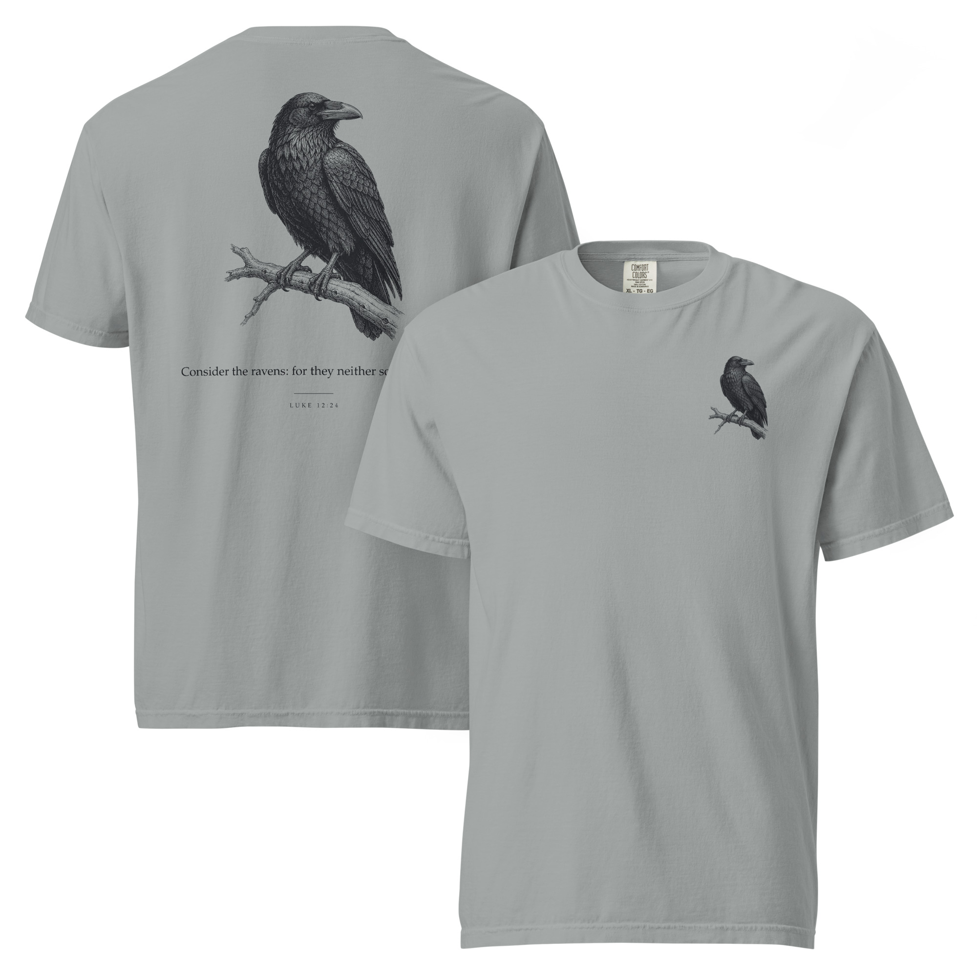 CONSIDER THE RAVENS - Image 2