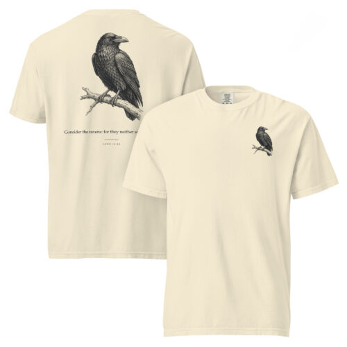 CONSIDER THE RAVENS