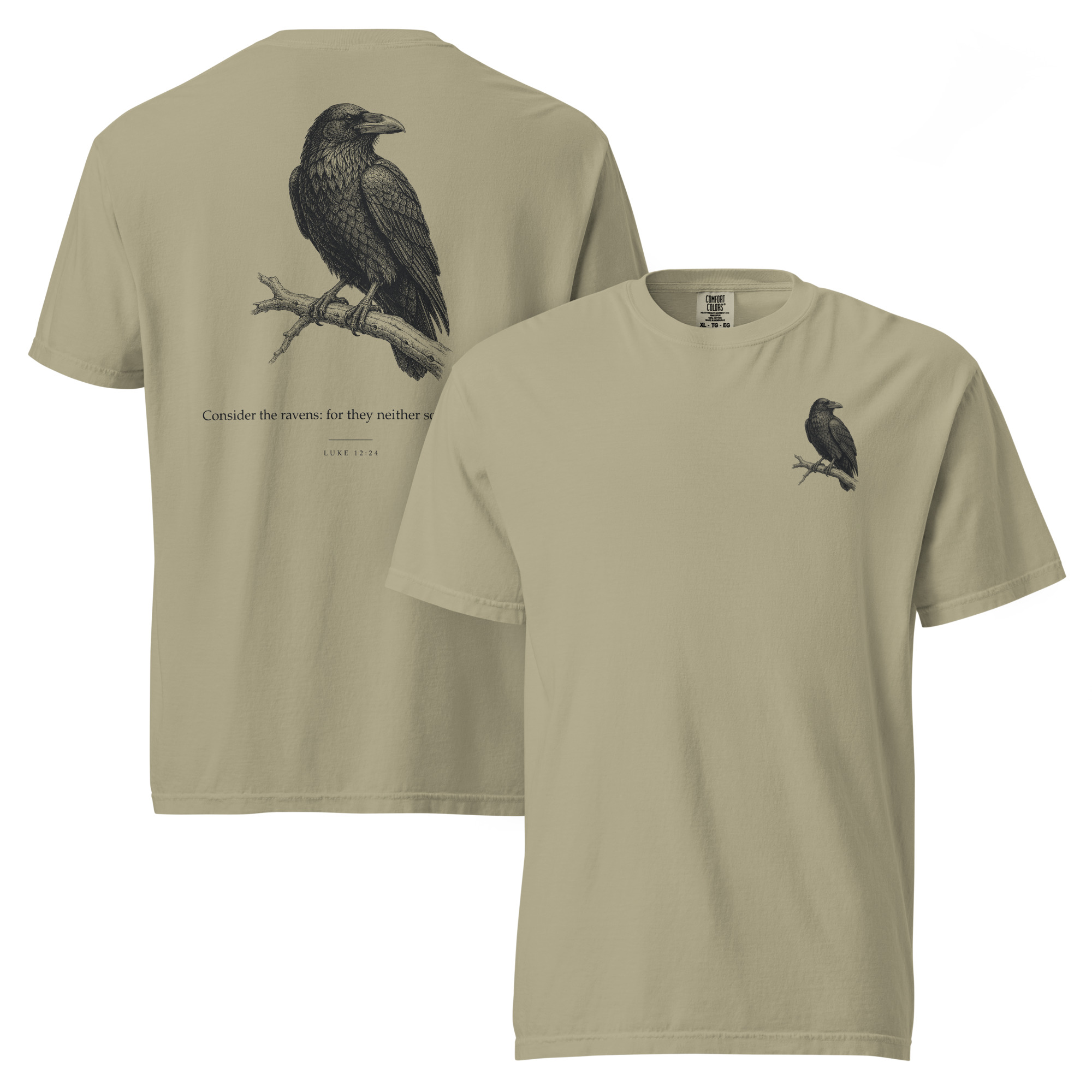 CONSIDER THE RAVENS - Image 3
