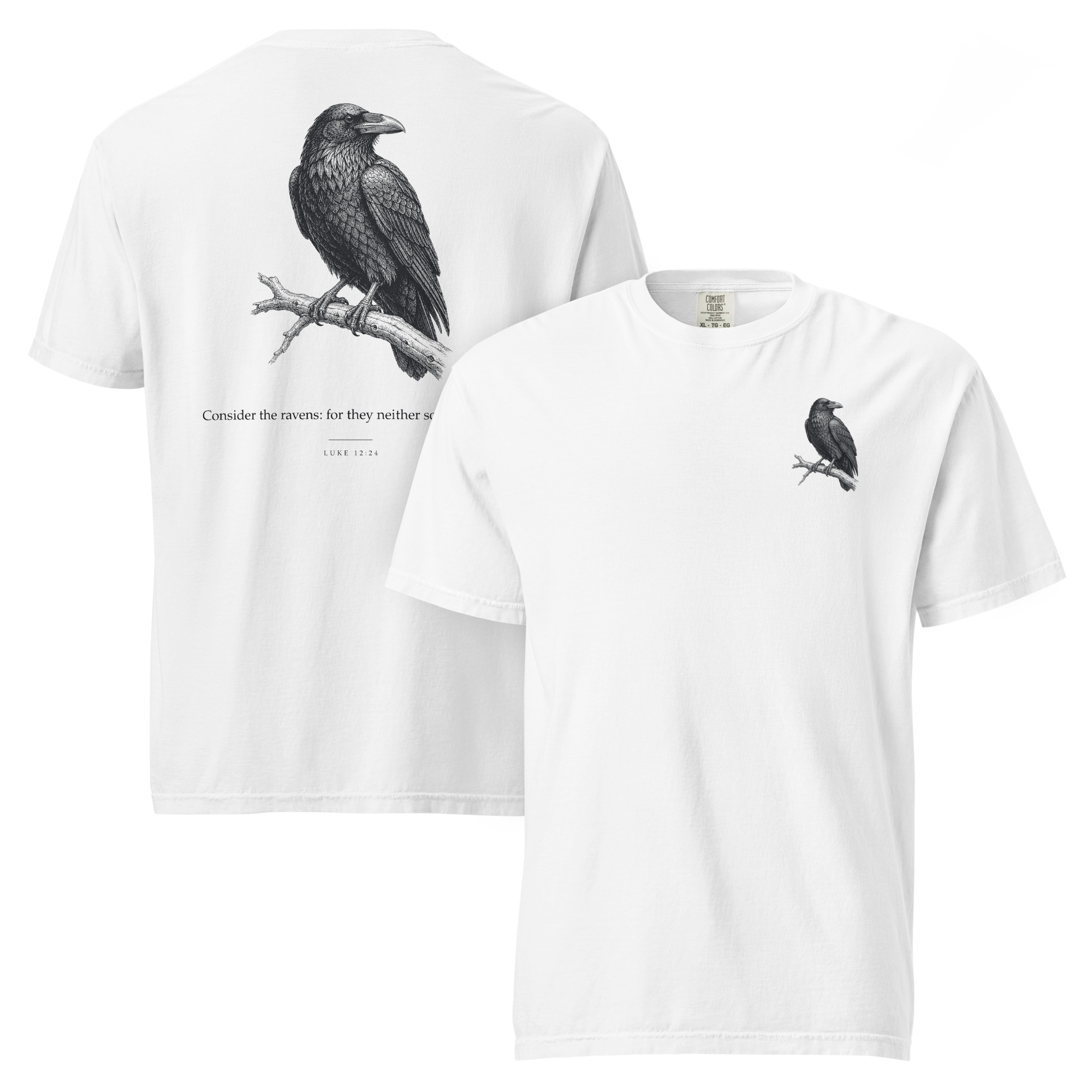 CONSIDER THE RAVENS - Image 6