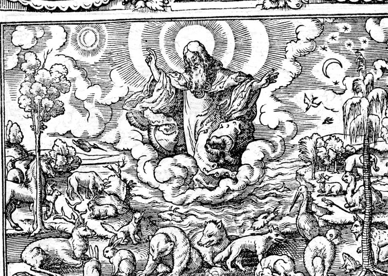 The Creation, woodcut by Virgil Solis