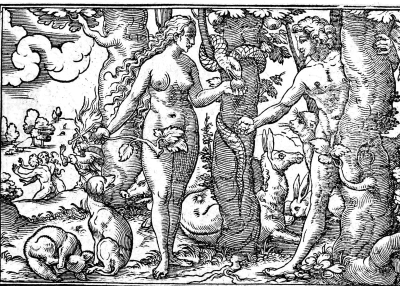 The Serpent and the Tree, woodcut by Virgil Solis