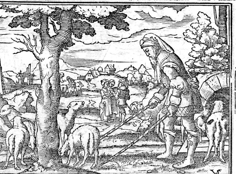 Jacob and the Peeled Rods, woodcut by Virgil Solis