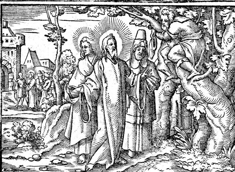 Zacchaeus in the Sycomore Tree, woodcut by Virgil Solis