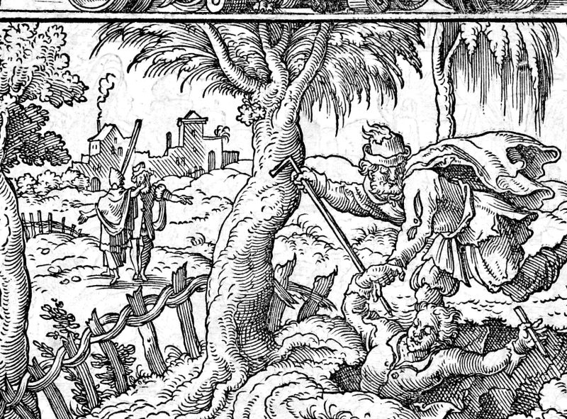 The Withered Hand and the Sermon on the Plain, woodcut by Virgil Solis