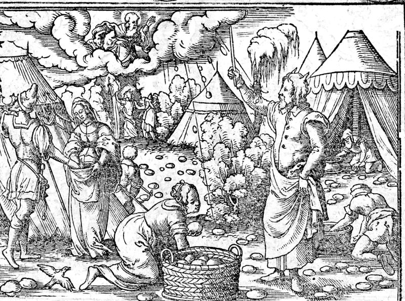 Manna and Quails, woodcut by Virgil Solis