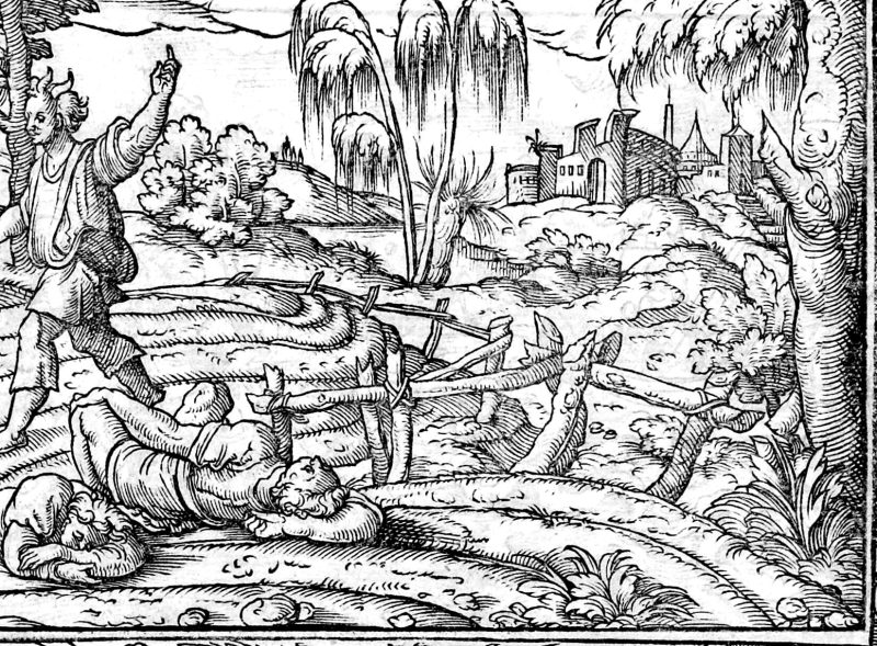 The Sower and the Tares, woodcut by Virgil Solis