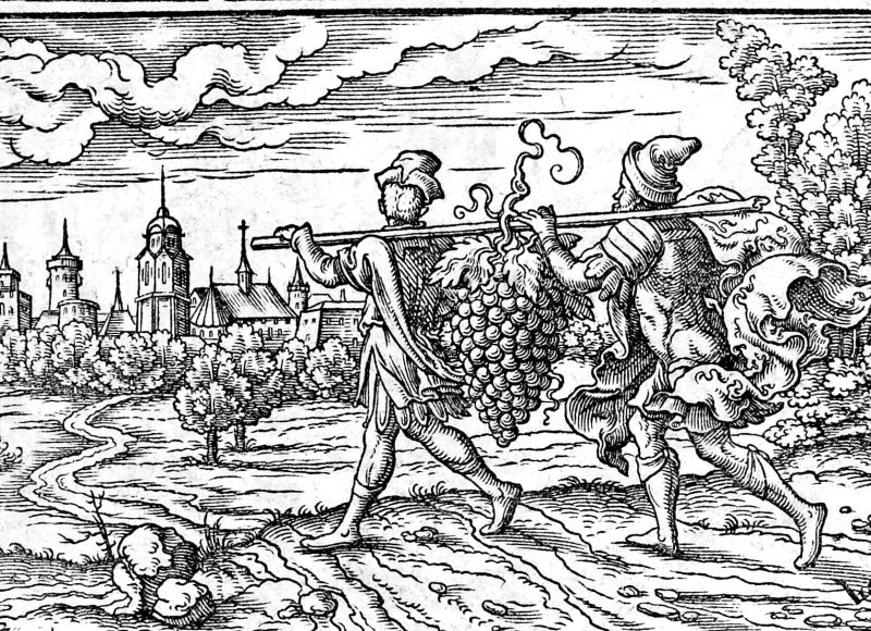 The Twelve Spies Return, woodcut by Virgil Solis