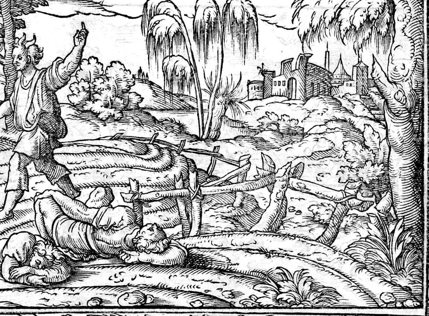 The Sower and the Tares, woodcut by Virgil Solis, 1565