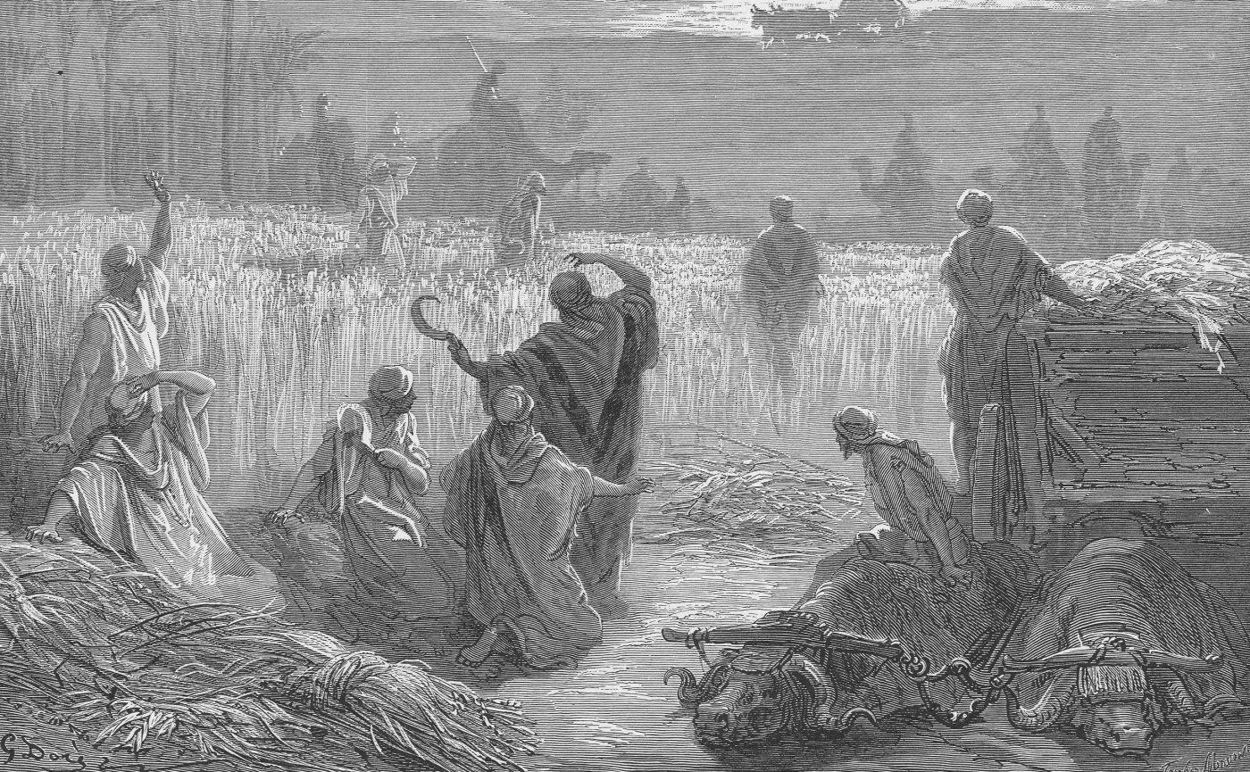 Return of the Ark to Beth Shemesh, wood engraving by Gustave Doré, illustrating 1 Samuel 6:13