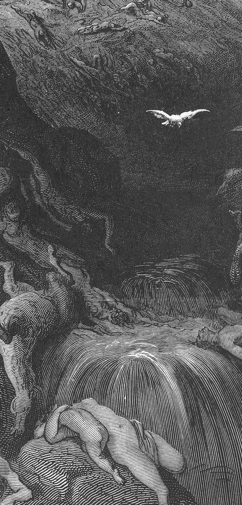 The Dove Sent Forth from the Ark, wood engraving by Gustave Doré, illustrating Genesis 8:11